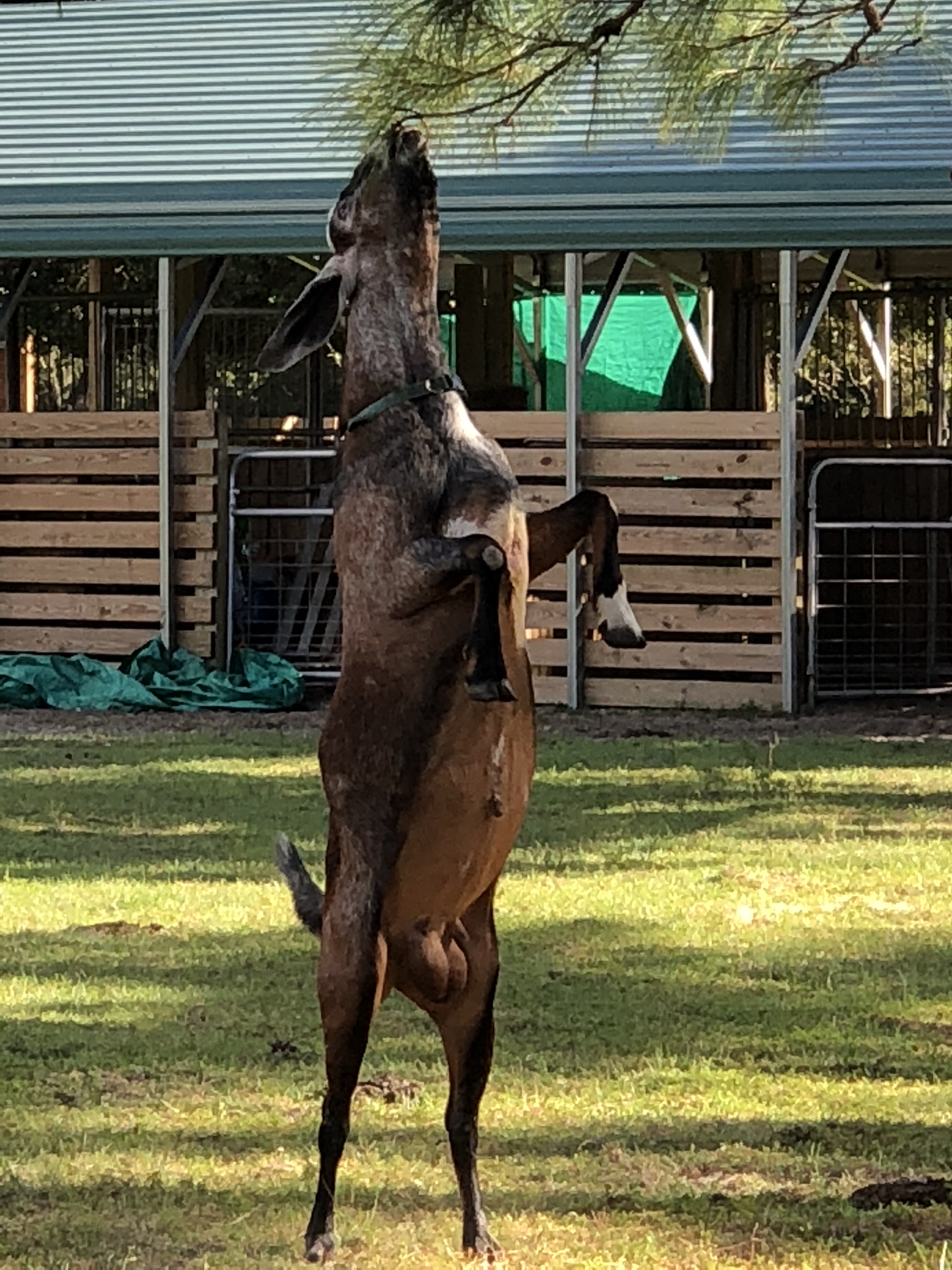 The Crimson Sky Ranch – Photo 2