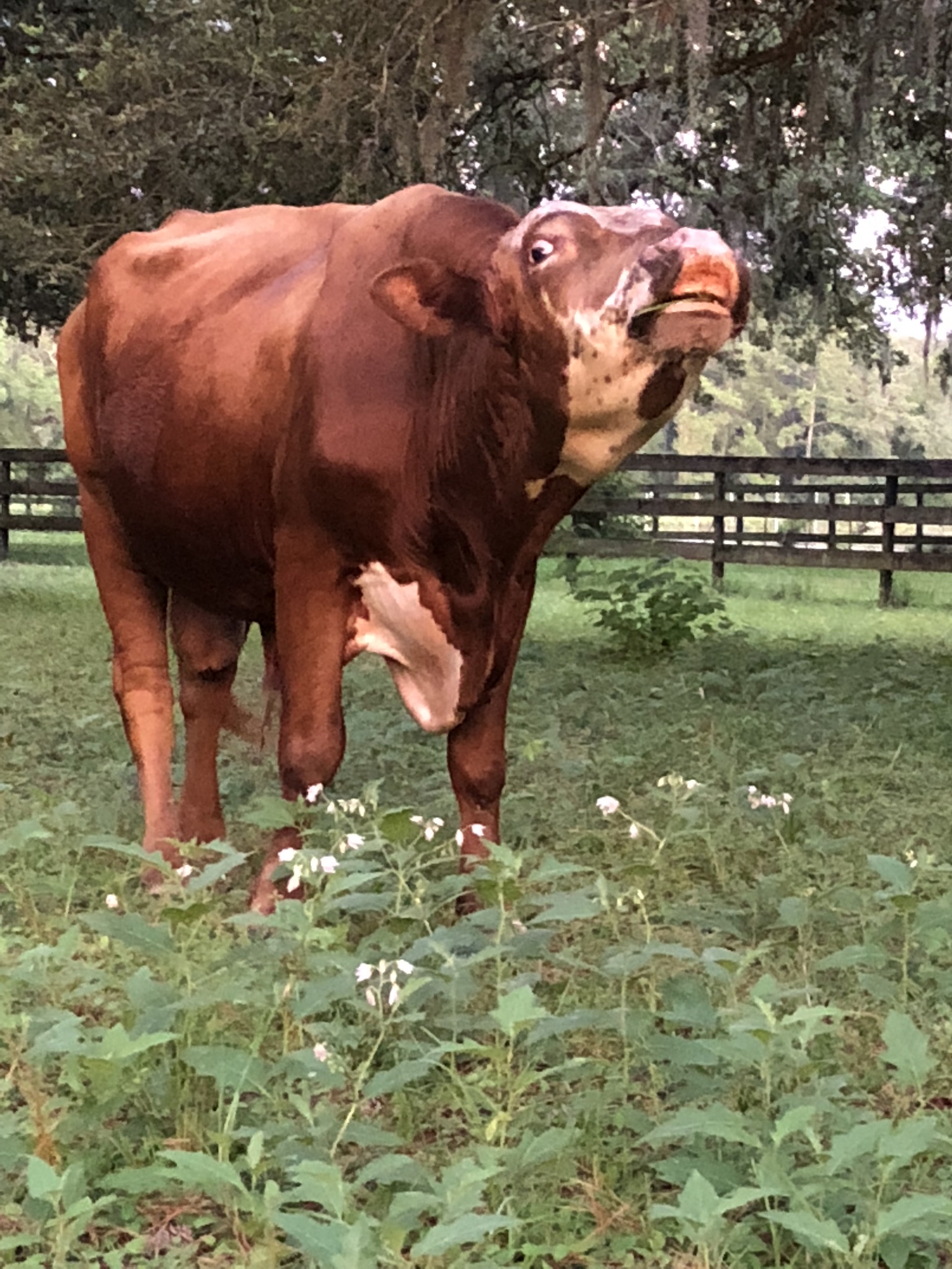 The Crimson Sky Ranch – Photo 3