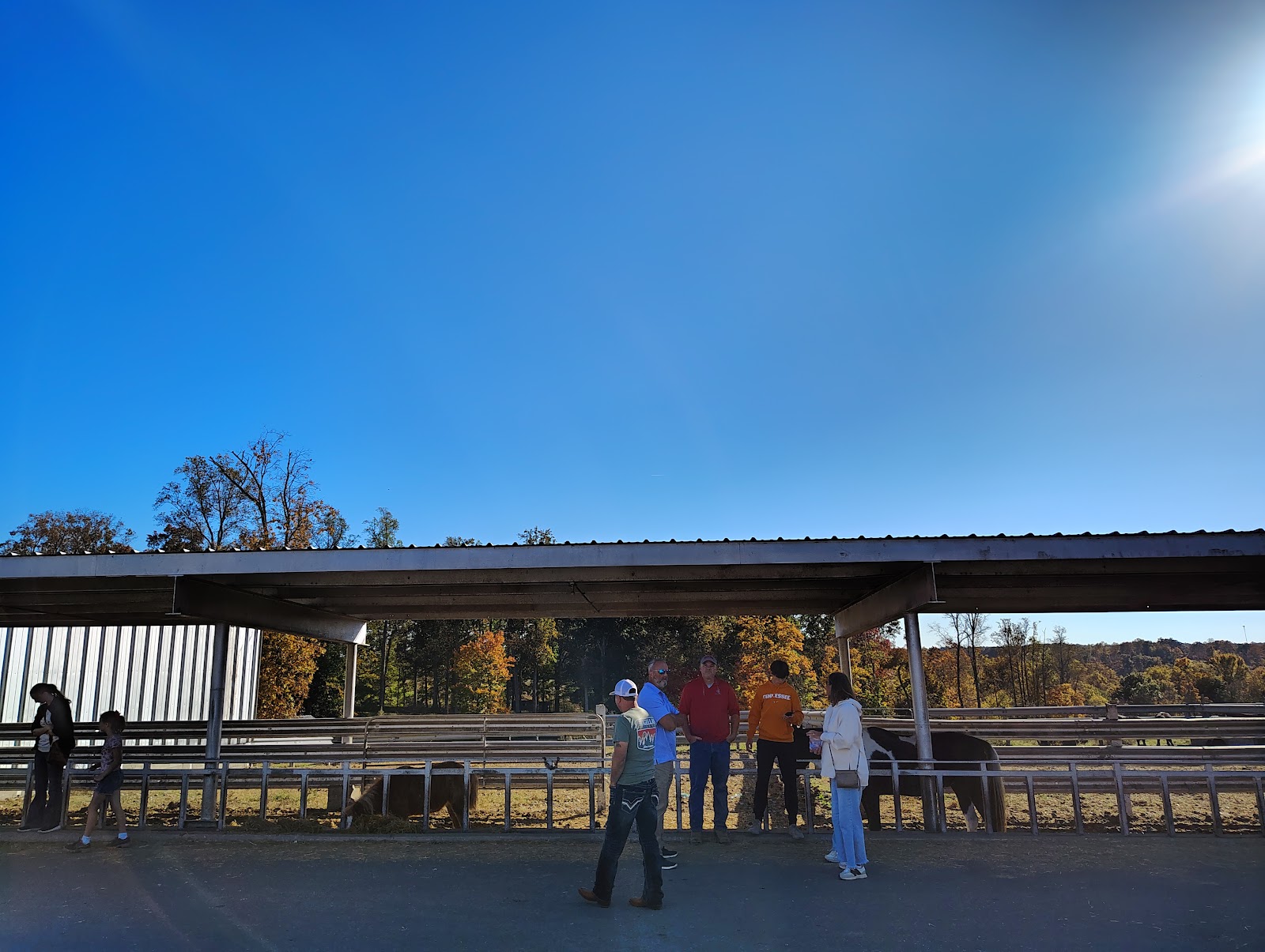 Bottom View Farm – Photo 4