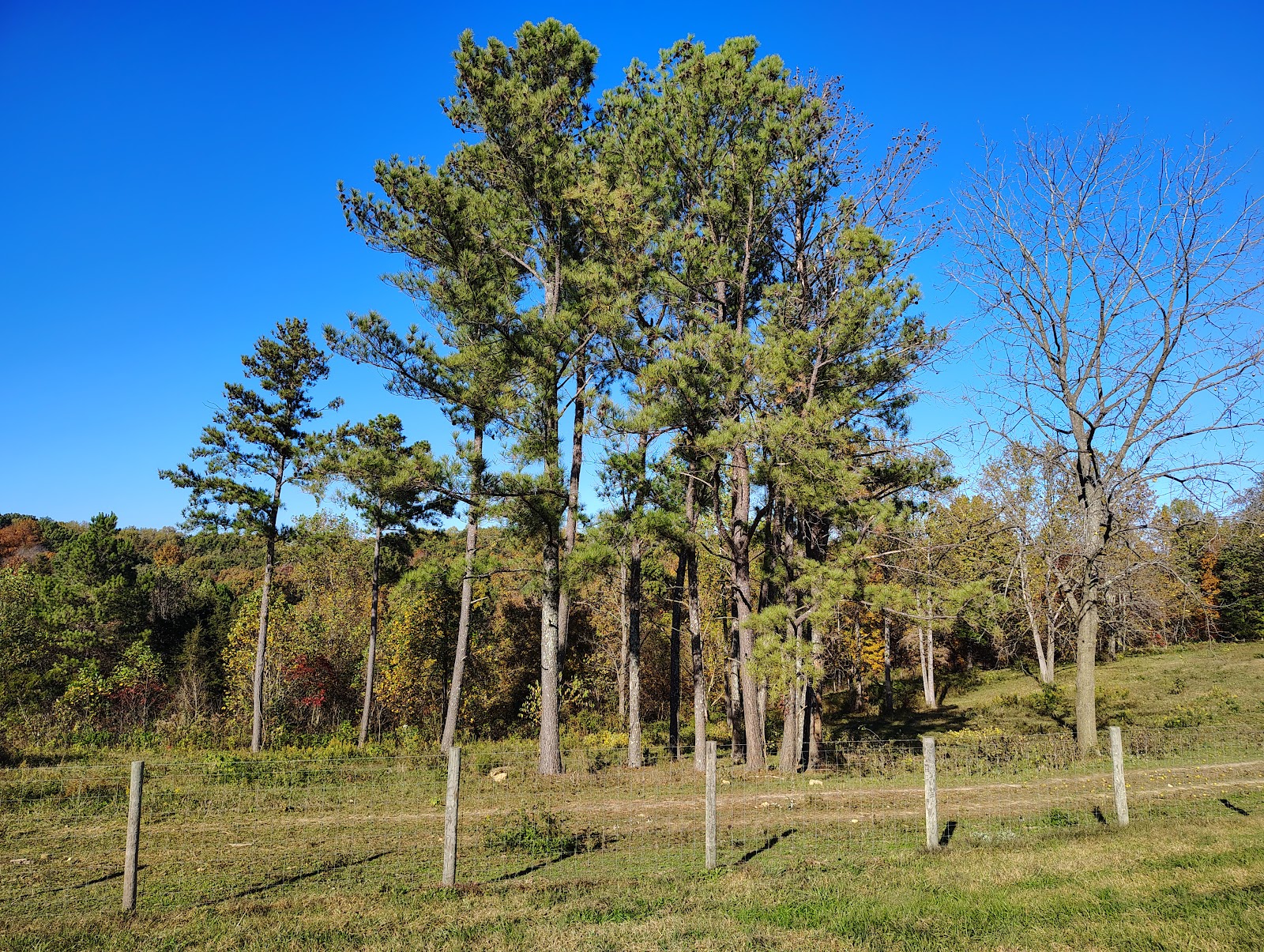 Bottom View Farm – Photo 5