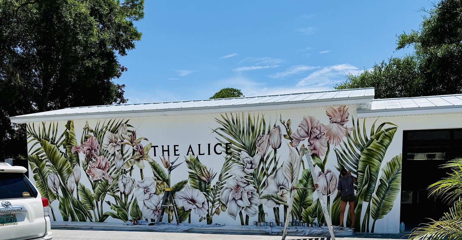 The Alice – Photo 4
