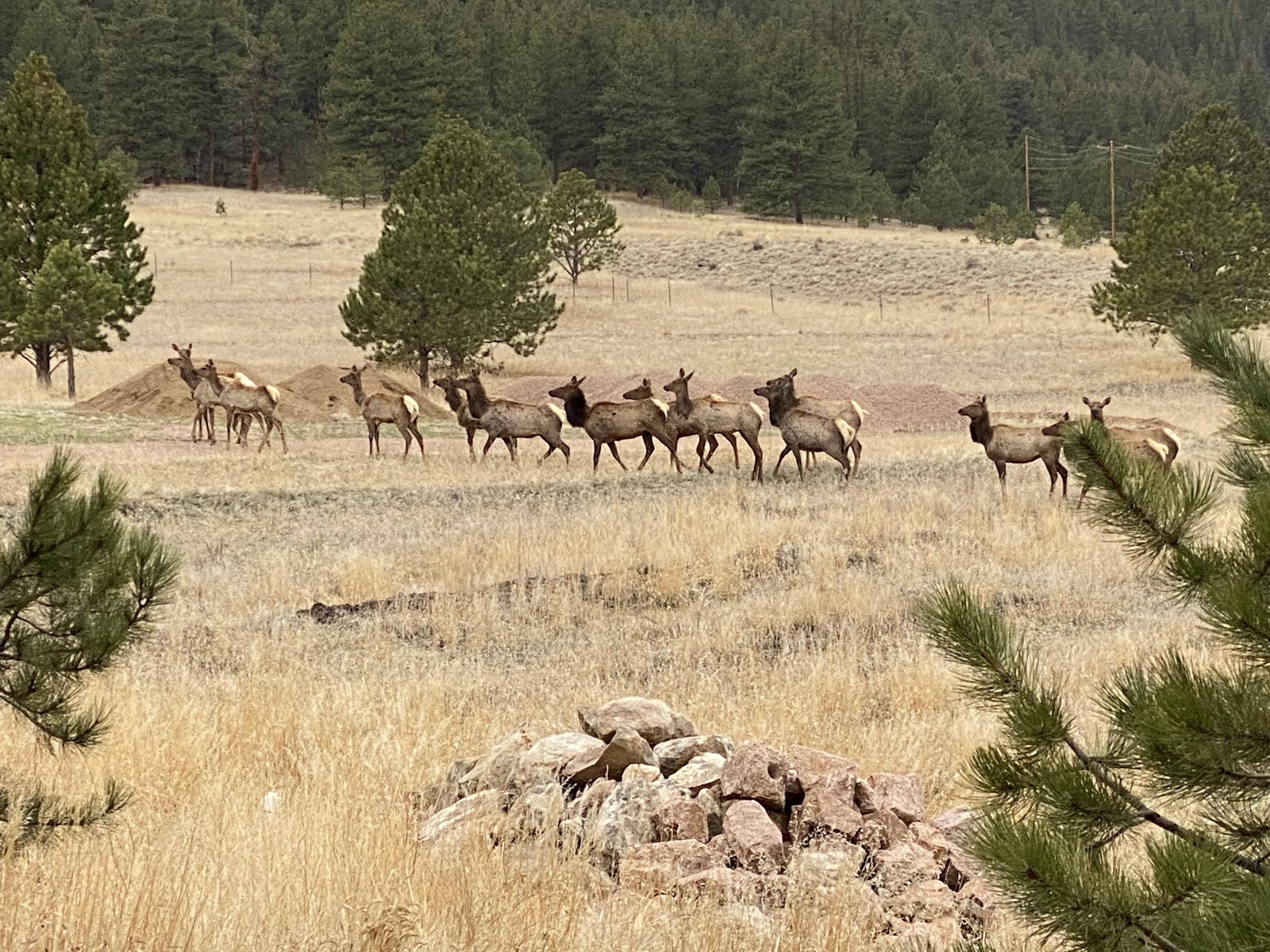 Arcadia Villa Ranch & Retreat – Photo 2